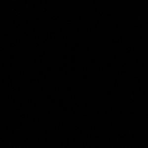 Meet your Posher, Ivy